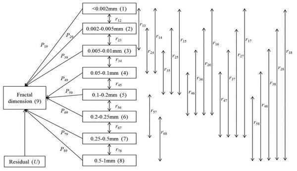 Path analysis diagram for the relationships between fractal dimension and micro-aggregate fractions.