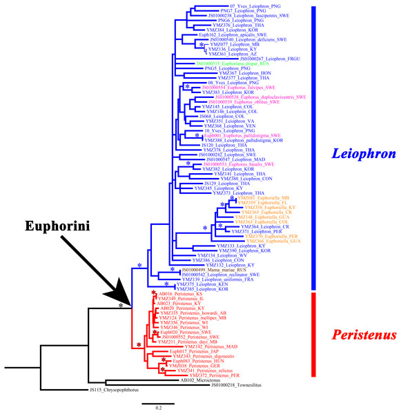 Concatenated gene tree for MrBayes, RAxML, and IQ-Tree.