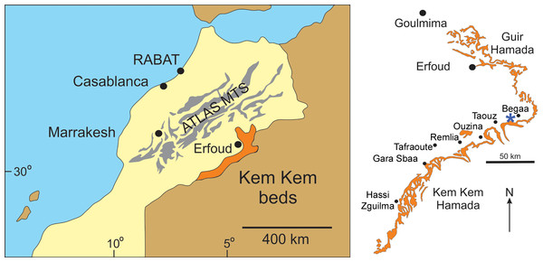 Geographic map of the fossil location, Morocco.