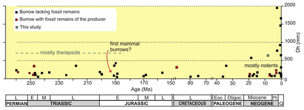 Plot of horizontal diameter of fossil tetrapod burrows vs age.