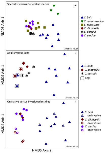 Non-metric multidimensional scaling (NMDS) ordination of microbial communities associated with Cephaloleia beetles.