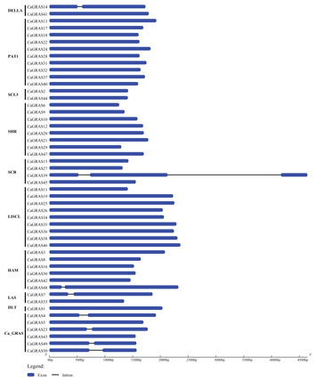 Genome-wide characterization and expression analysis of GRAS gene ...