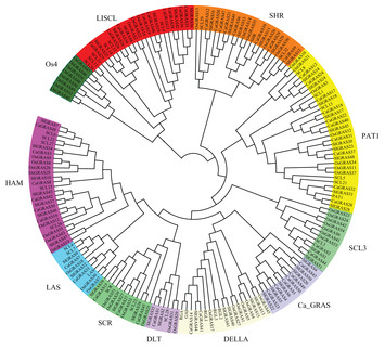 Genome-wide characterization and expression analysis of GRAS gene ...