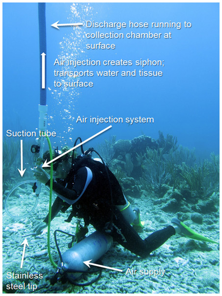Underwater aspiration apparatus.