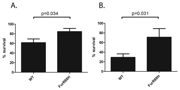 FurR88H confers a survival advantage to H. pylori when co-cultured with neutrophils.