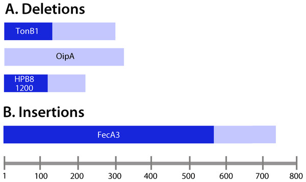 Analysis of insertions and deletions in coding regions.