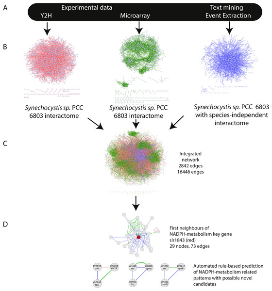 Overview of the approach—integration of networks created using three distinct data-types.