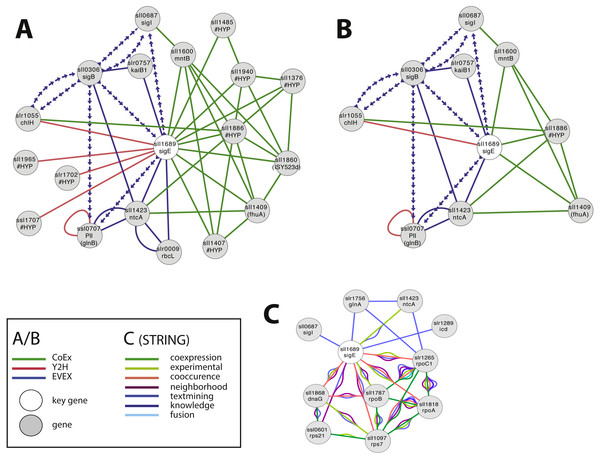 The phylogenetic origin of the text-mining events used to construct the species-independent network.