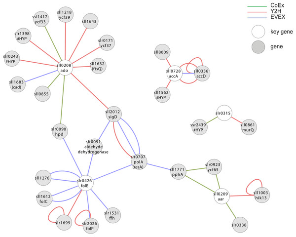 Cluster analysis with members of the apparent alkane operon.