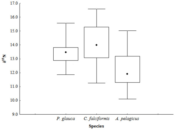 δ15N values in the muscle tissue of three shark species in the Galapagos Marine Reserve.