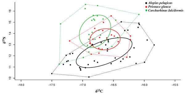 Values of δ13C and δ15N, trophic niche breadth and degree of trophic niche overlap between three shark species, A. pelagicus, P. glauca and C. falciformis, in the Galapagos Marine Reserve.