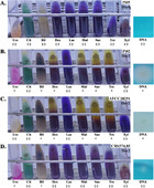 Biochemical and genetic analyses of the oomycete Pythium insidiosum ...