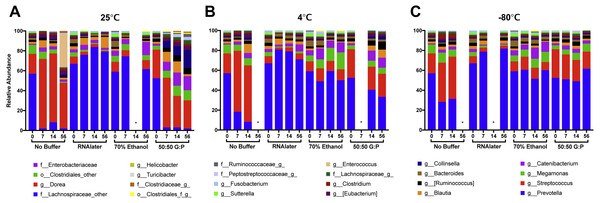 Relative abundances of 24 highest taxonomic classifications of bacteria over 56 days.