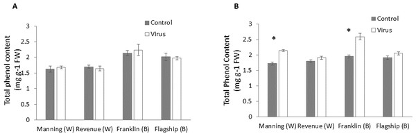 Average content (mg/g leaf fresh weight) of total phenol of BYDV-PAV inoculated and control plants of wheat (W) and barley (B) cultivars at 3 WAI (A) and 6 WAI (B).