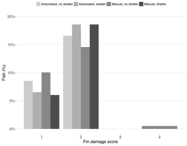 Fin condition scores after the experiment.