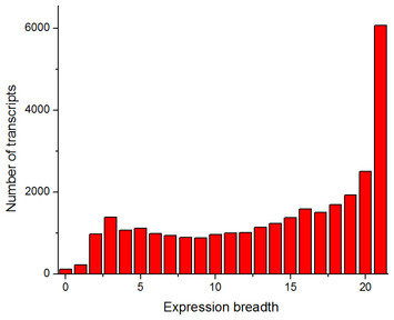 Divergent and convergent evolution of housekeeping genes in human–pig ...