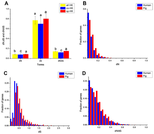  Comparison of evolutionary features of housekeeping genes with mouse as outgroup.