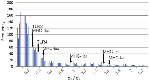 Distribution of dN∕dS ratios from over 3,000 genes isolated from transcriptome data compared to TLR and MHC.