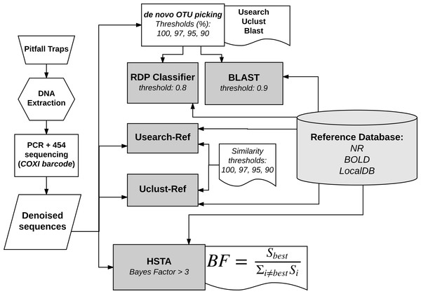 Bioinformatics analysis pipelines overview.