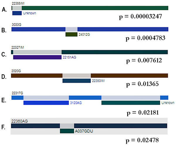Gene conversion tracks identified by the GENECONV method.