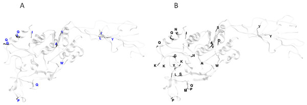 Protein model of AlpA showing the positive episodic diversified selected sites after the SBP correction thereby recombination.