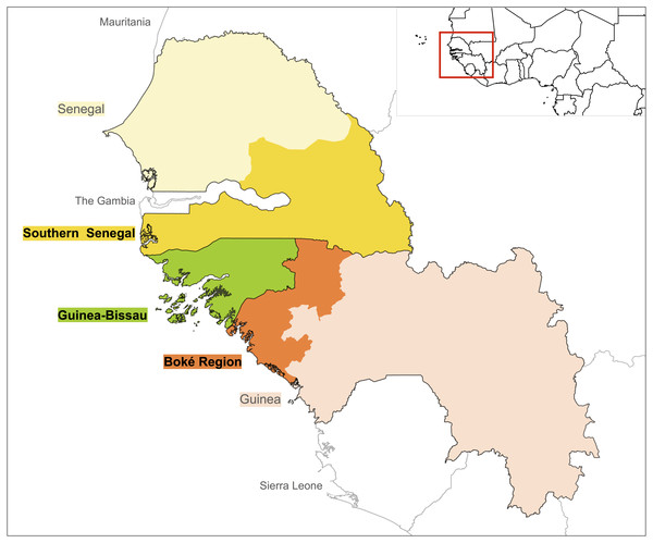 Geographical areas included in the literature search: Guinea-Bissau (green), Southern Senegal (yellow) and Boké Region in Guinea (orange).