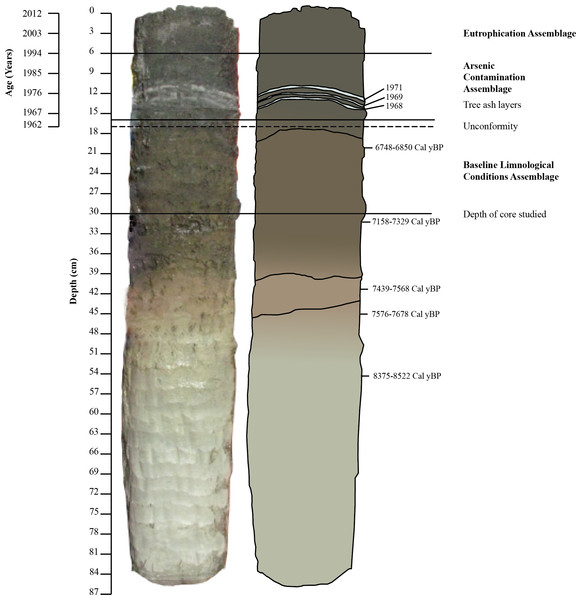 Freeze core 1FR with Pb210, ash layer, and radiocarbon dates.