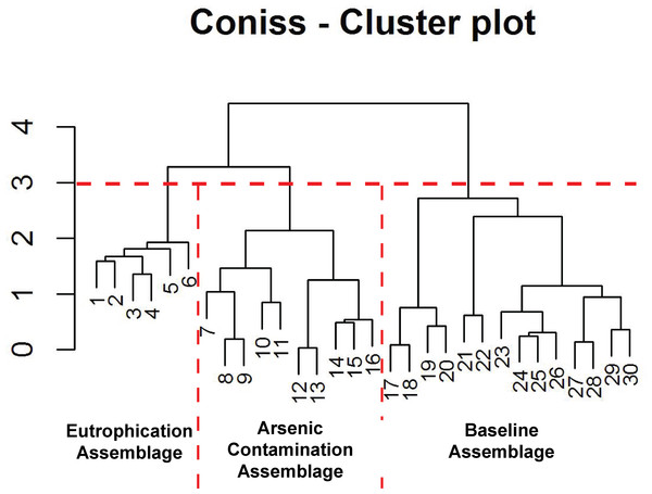 Arcellinida assemblages based on CONISS.