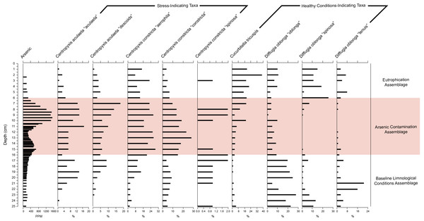 Response of key health and contamination-indicating taxa of Arcellinida to change in arsenic concentration over time.