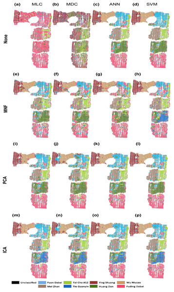 Classification of tea cultivars in the study region, with image pre-processing and classification method combinations of: (A) None+MLC (B) None+MDC (C) None+ANN (D) None+SVM (E) MNF+MLC (F) MNF+MDC (G) MNF+ANN (H) MNF+SVM (I) PCA+MLC (J) PCA+MDC (K) PCA+ANN (L) PCA+SVM (M) ICA+MLC (N) ICA+MDC  (O) ICA+ANN (P) ICA+SVM.