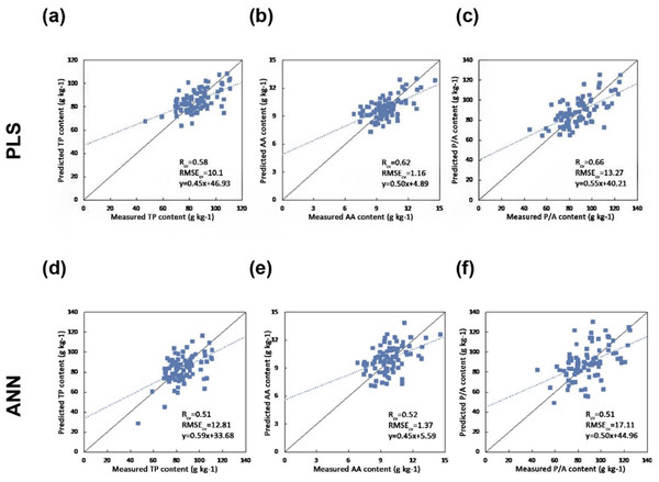 Scatter plots of the reference versus predicted foliar biochemical contents (g kg-1) using PLS and ANN regression (the solid line is the 1:1 line and the dashed line is the regression line between the predicted and measured values) (A) Predicting TP using PLS regression  (B) Predicting AA using PLS regression (C) Predicting P/A using PLS regression (D) Predicting TP using ANN (E) Predicting AA using ANN (F) Predicting P/A using ANN.