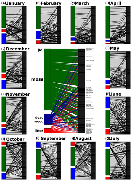 Oribatid mite—microhabitat networks over the year.