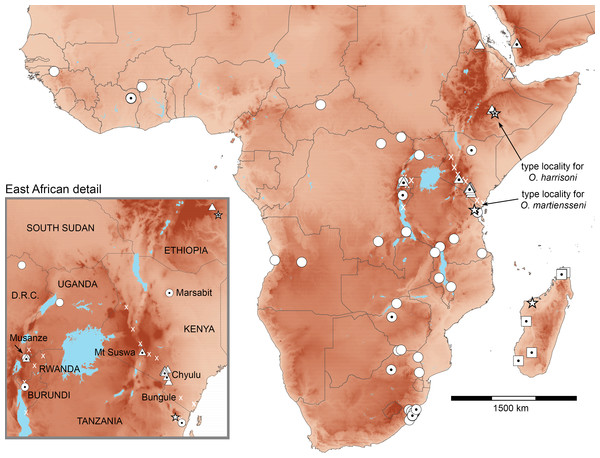 Distributions of African Otomops projected on topography.