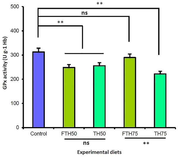 Glutathione peroxidase (GPx) activities of juvenile barramundi fed fermented and non-fermented tuna hydrolysate (TH) at various inclusion levels.