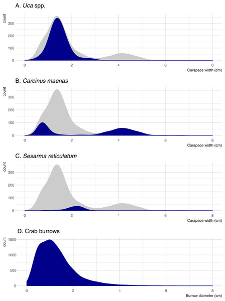 Density distributions of crab burrow diameters and carapace widths for Uca, Carcinus, and Sesarma.