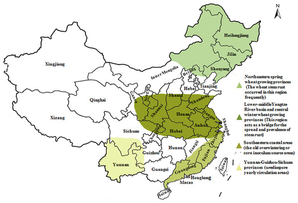 Epidemic patterns of wheat stem rust in four wheat-producing regions in China.