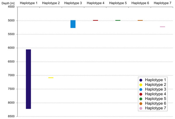 Depth distribution of COI haplotypes.