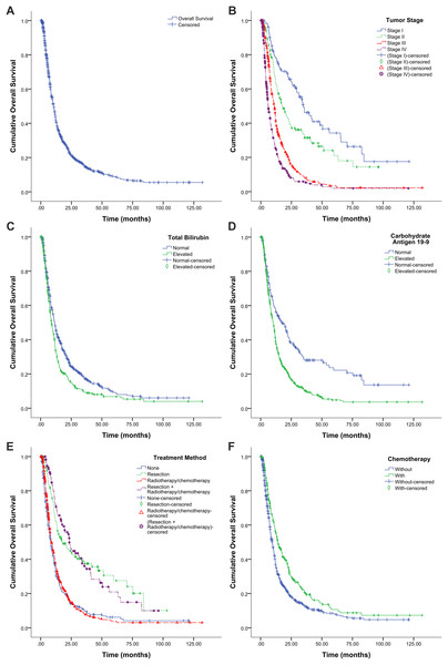 Kaplan–Meier survival graphs for overall survival (OS) in patients with pancreatic cancer.