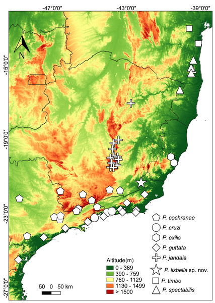 Distribution map of Phasmahyla species in Atlantic Forest.