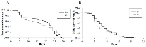 Longevity of female and male N. vitripennis with different Wolbachia infection statuses.