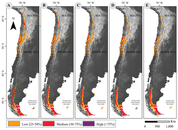 Current and projected distribution model of guanaco lineages in South America.