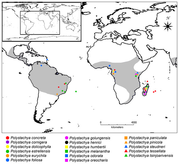 Distribution of Polystachya and the location of samples used in this study.