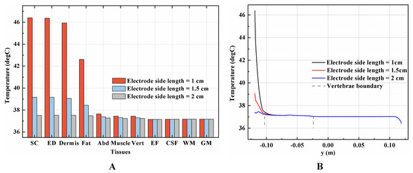 Effects of the stimulation electrode size on the thermal status during tSCS.