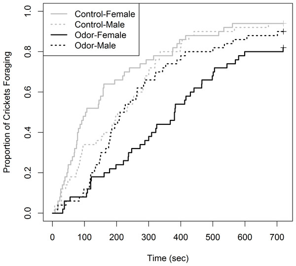 Proportion of house crickets (Acheta domesticus) which foraged within the presence of either a control or Elliot’s shrew (Blarina hylophaga) odor.