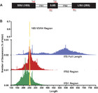 Non-biological synthetic spike-in controls and the AMPtk software pipeline improve mycobiome ...