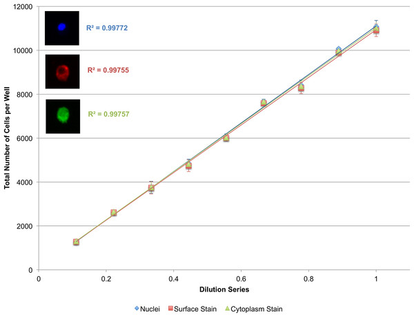 Secondary quantification of surface and cytoplasmic stains using nuclei as seeds.