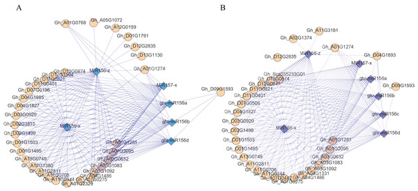 The DEM and corresponding differentially expressed target gene network.