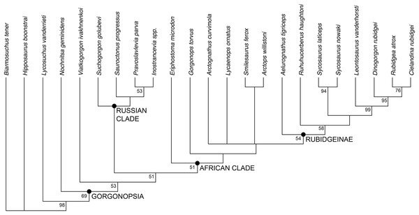 Results of the phylogenetic analysis, showing the consensus of six most parsimonious trees.