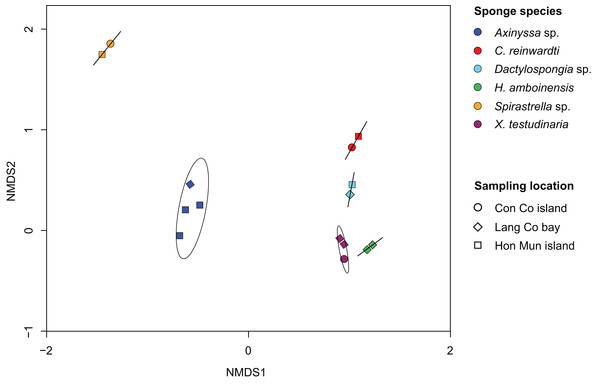 Non-metric multidimensional scaling (NMDS) plot derived from Bray–Curtis distances of sponge prokaryotic communities at OTUs level, NMDS stress value = 0.116.