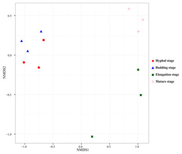 Dynamic succession of substrate-associated bacterial composition and ...